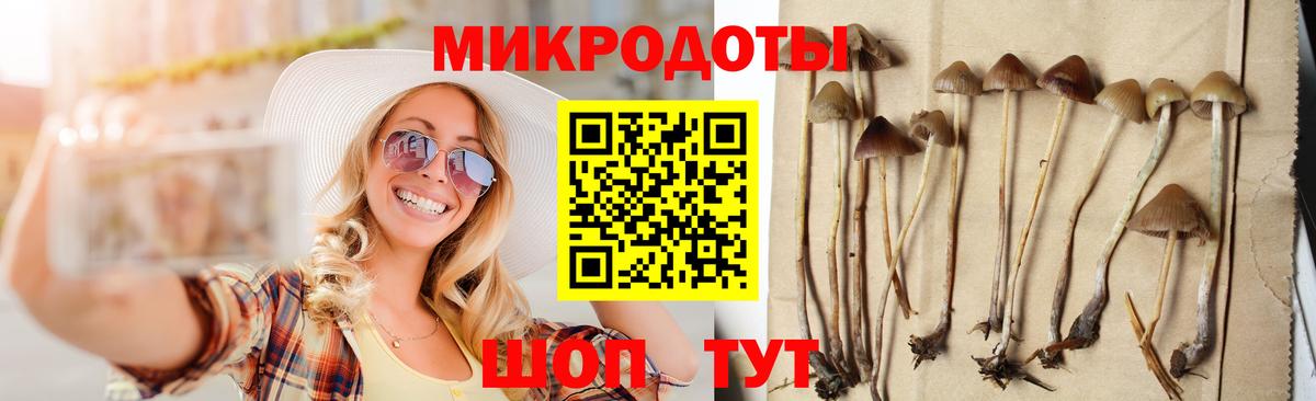 Борисоглебск  Галлюциногенные грибы Magic Shrooms  Вход с VPN  Псилоцибиновые грибы прущие грибы 